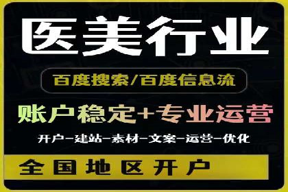 实战技巧：竞价推广案例解析与优化策略